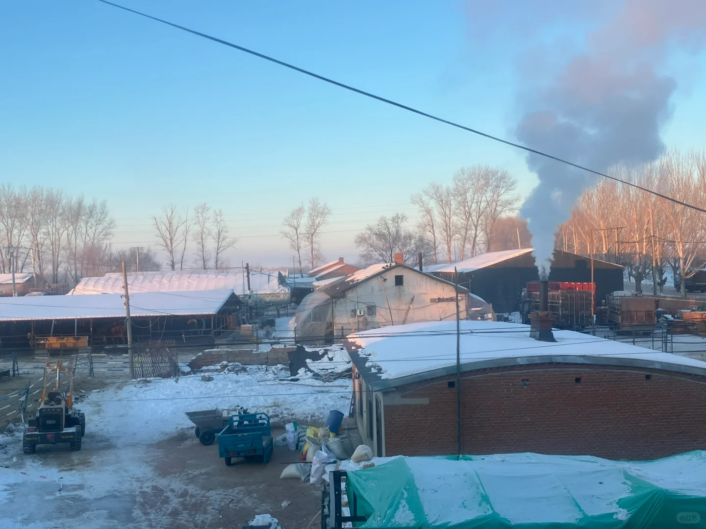 拍到非常规整的冰花