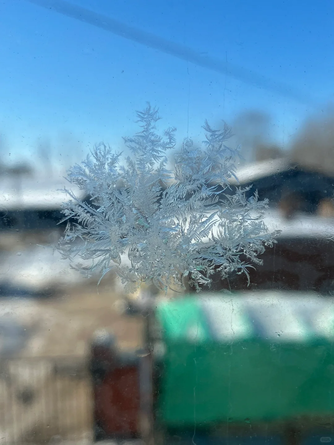 拍到非常规整的冰花