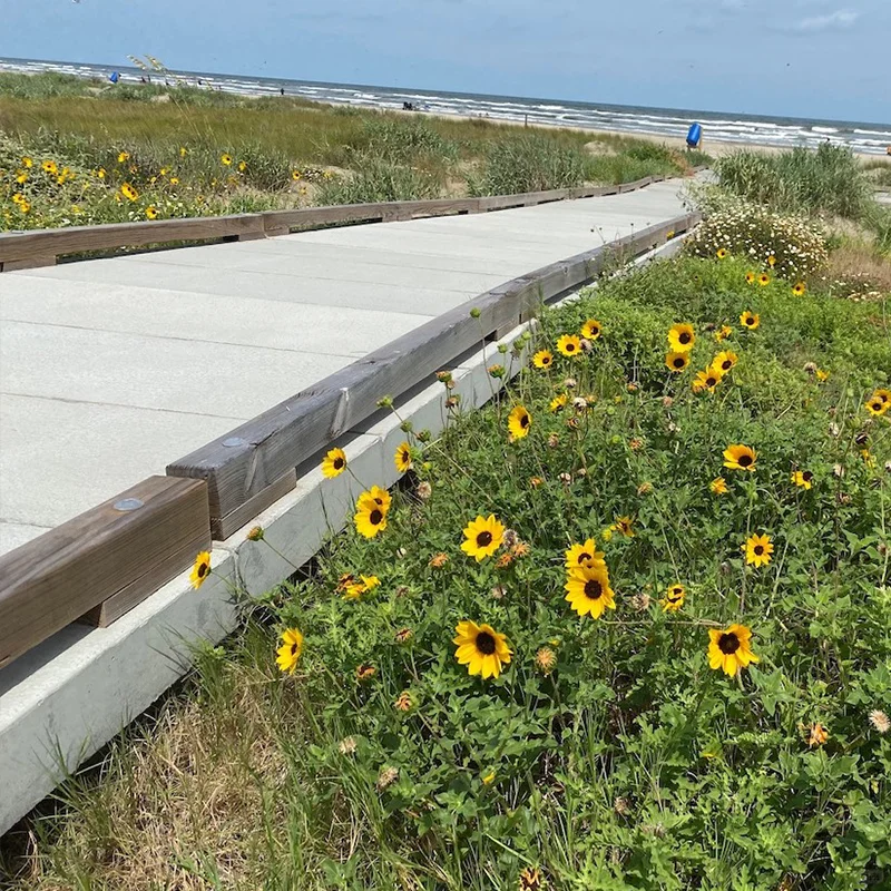 艾瑞盾预制清水混凝土地面板