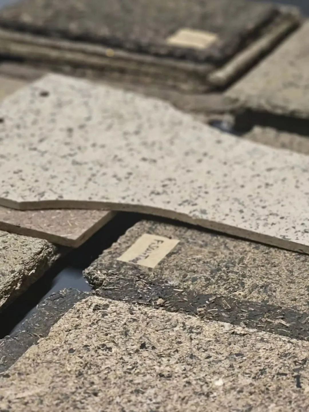 来自海洋的礼物：能吸碳，可降噪，可降解