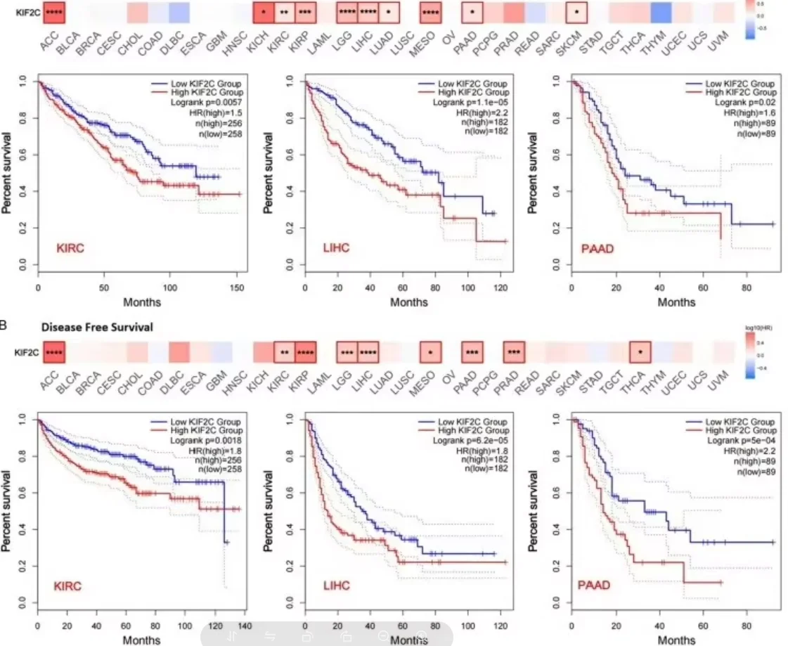 雷达信号处理，控制工程