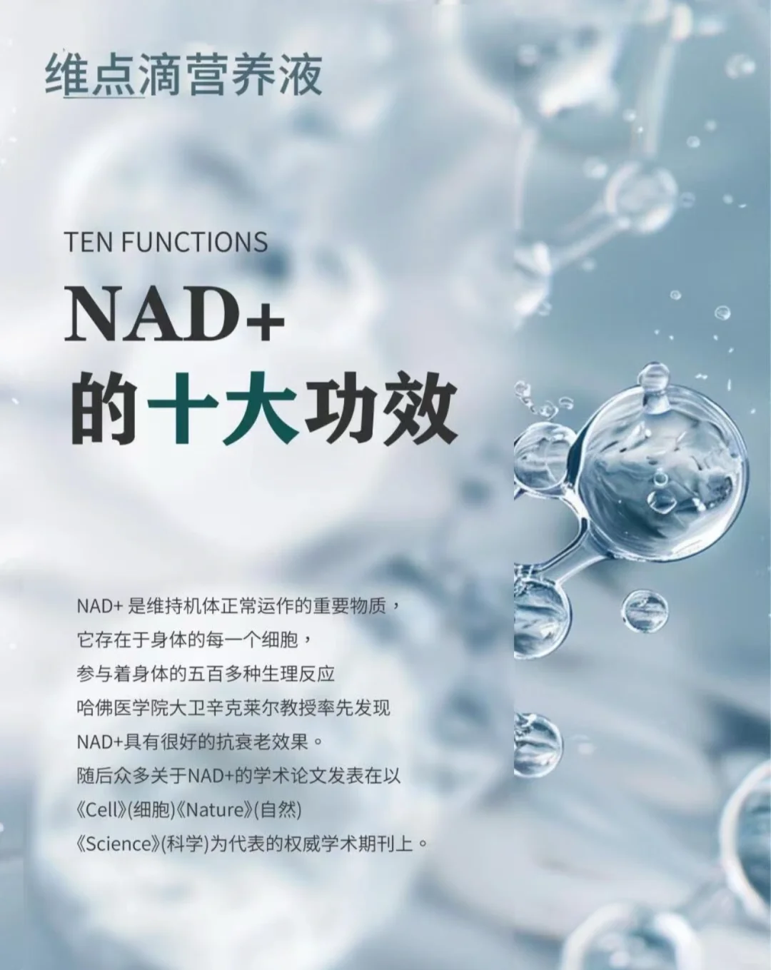 诚招同频合伙人✨?/变美/健康一个不能少