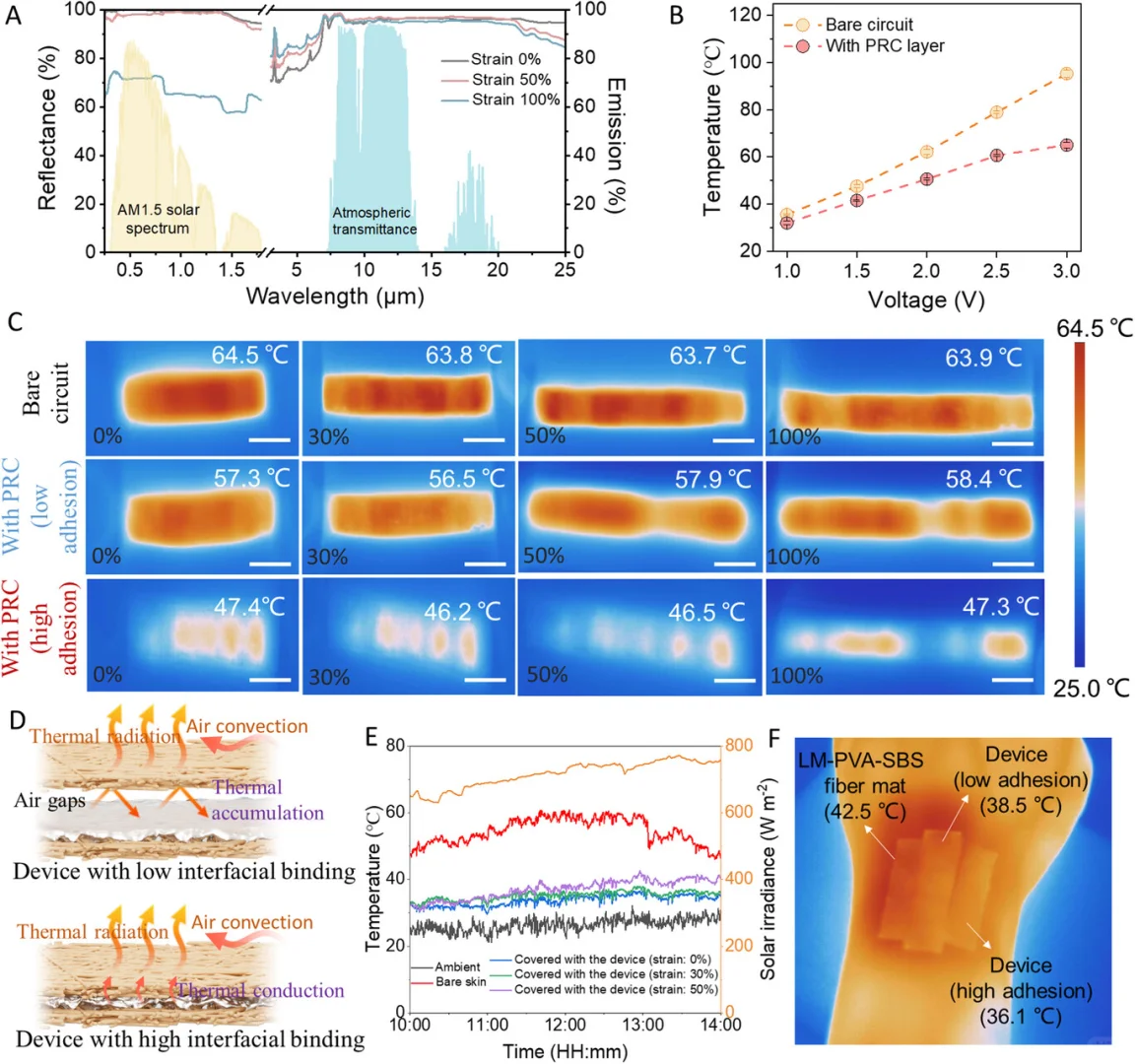 静电纺丝制备LM-PVA多功能分层结构纤维膜