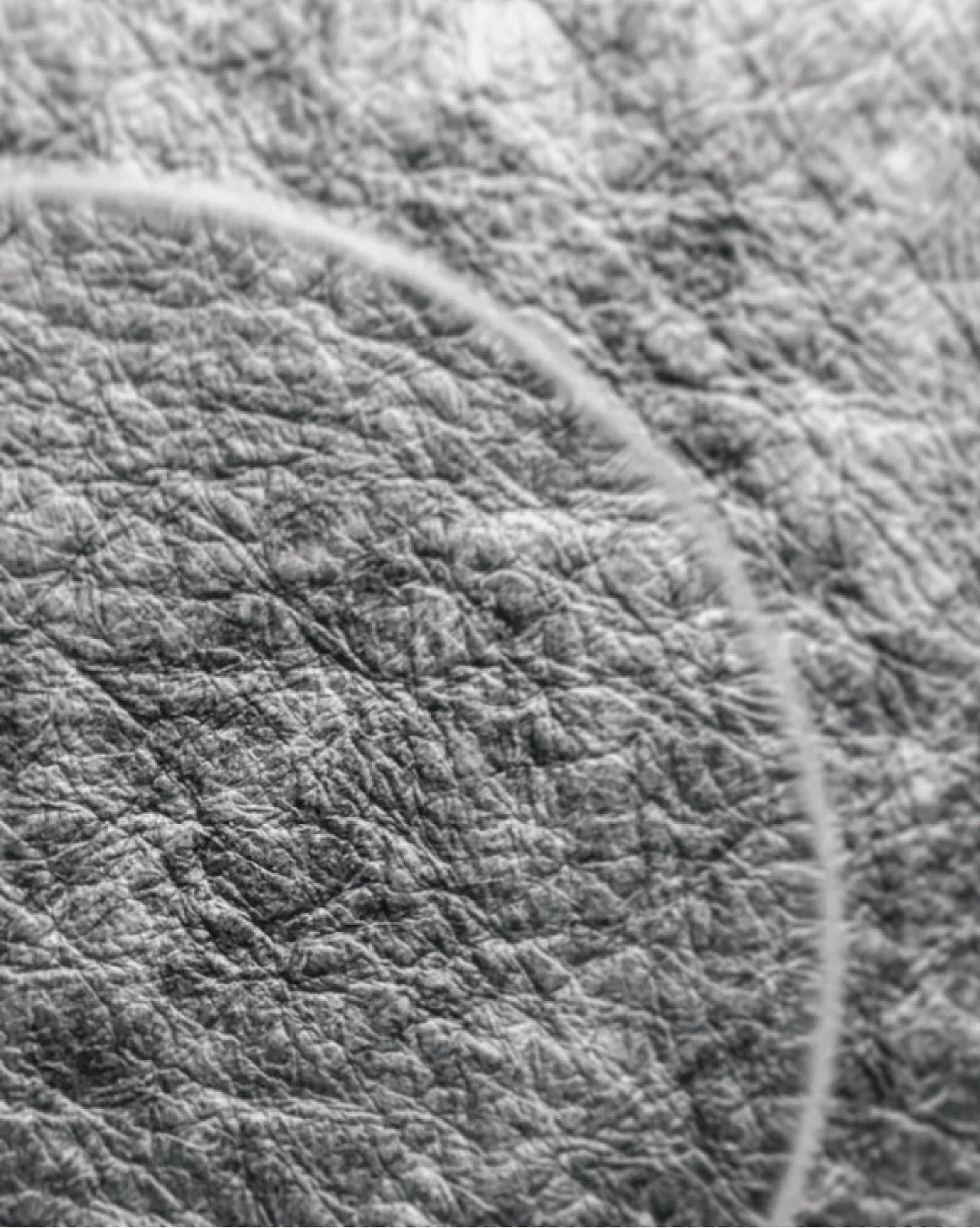 ?生物细菌皮革-椰子、香蕉、大麻、剑麻