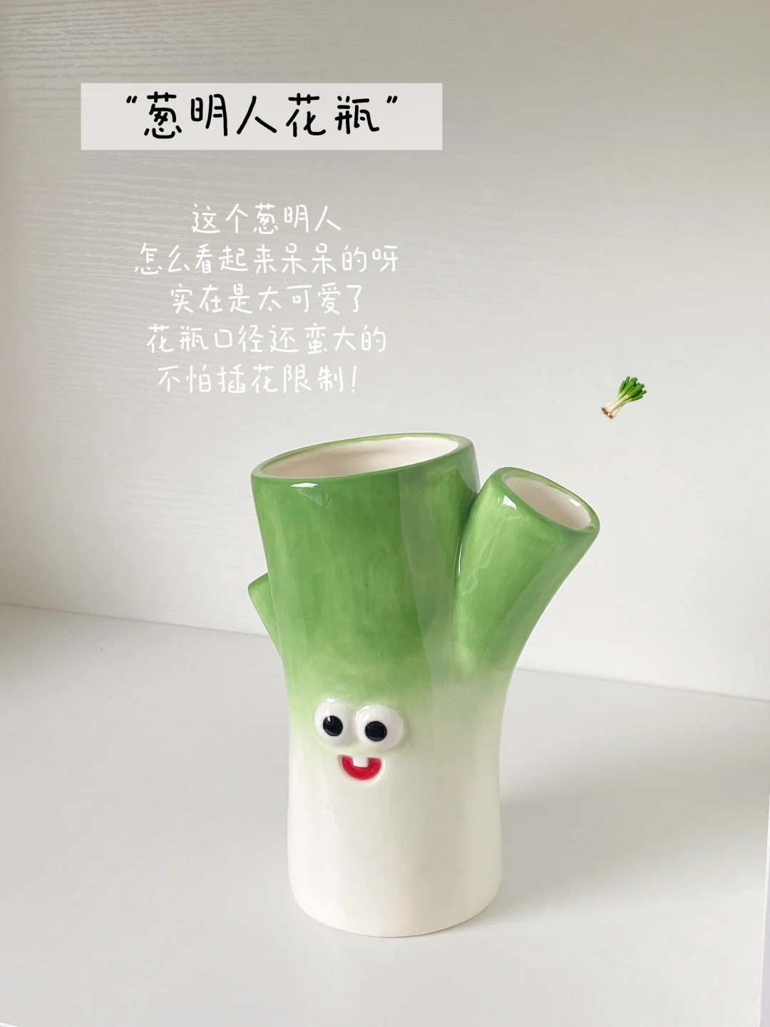 我敢说你也想拥有一个这么可爱的花瓶❗