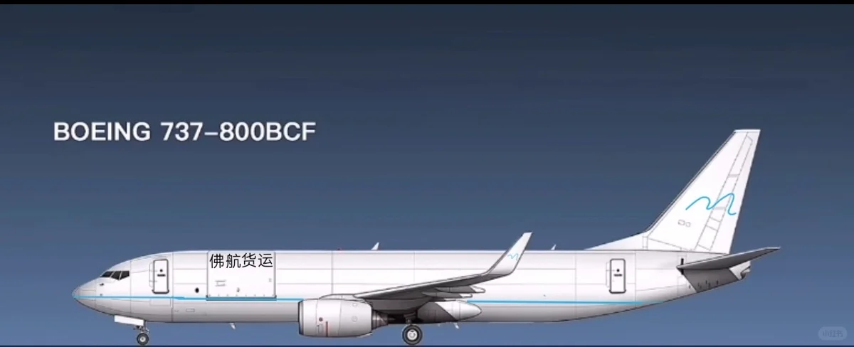 我航737将全部改成货机，想要的可以找我