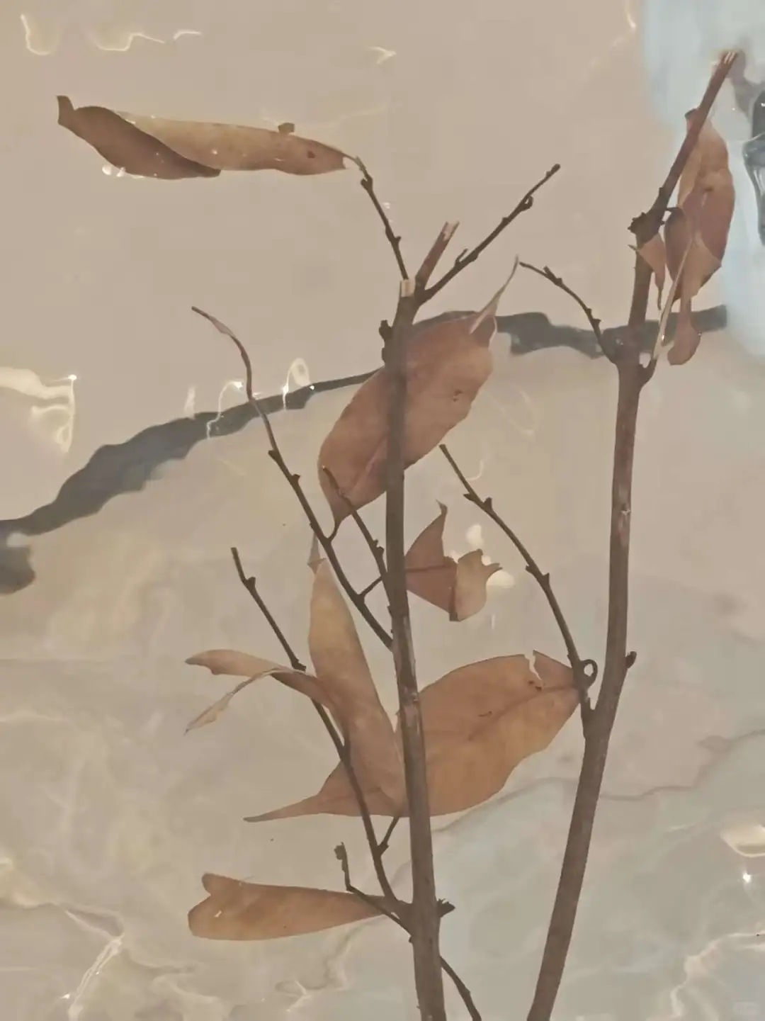 凝固自然的艺术坐具 —— 树脂枯枝花艺凳