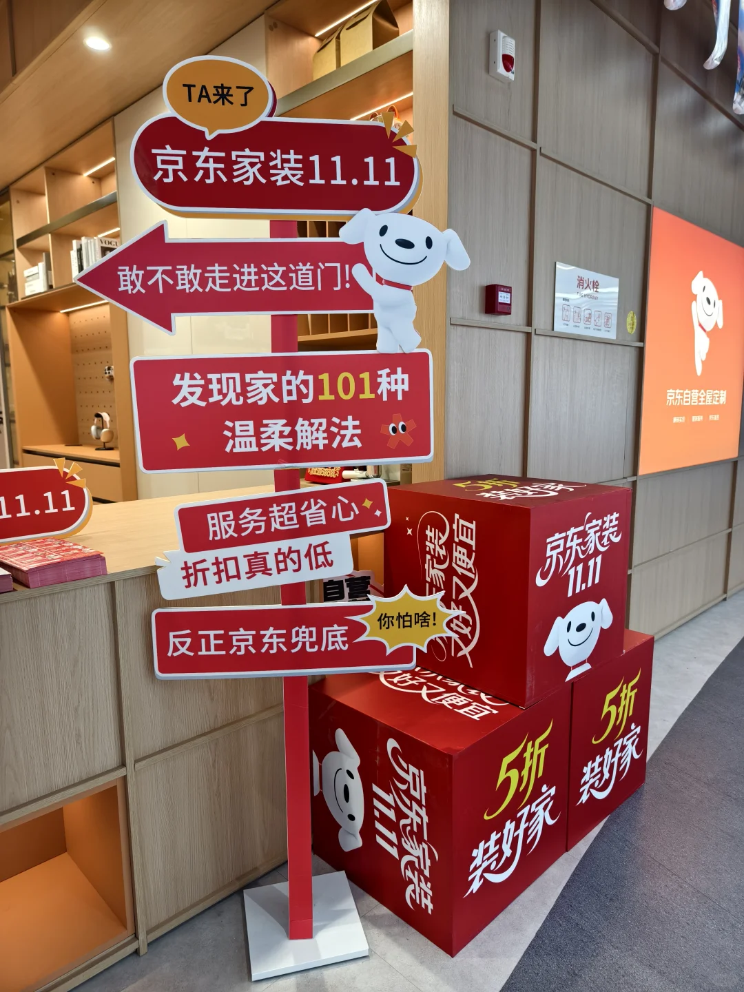 装修党狂喜！双 11 选家居省出软装预算✨