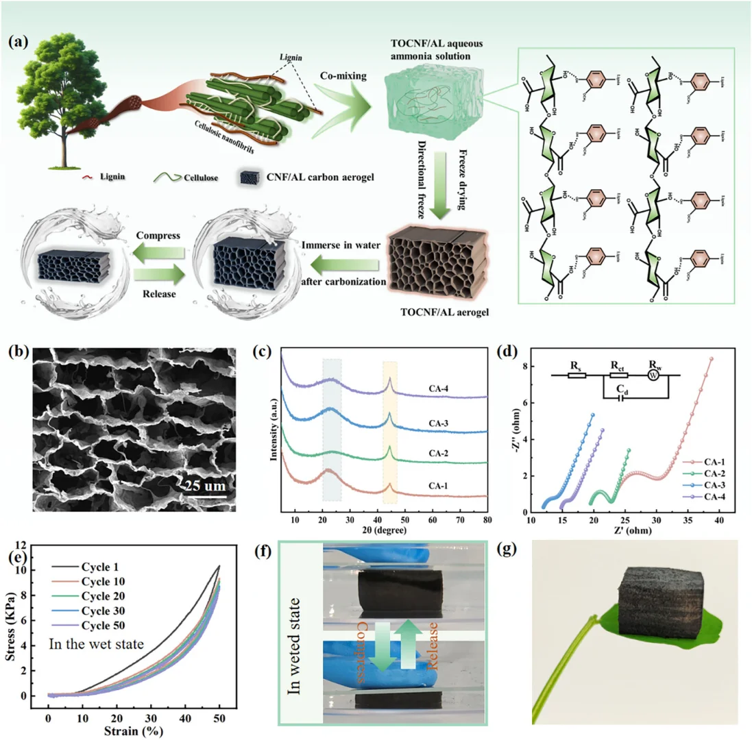 007 纤维素木质素基解决电活性生物膜老化