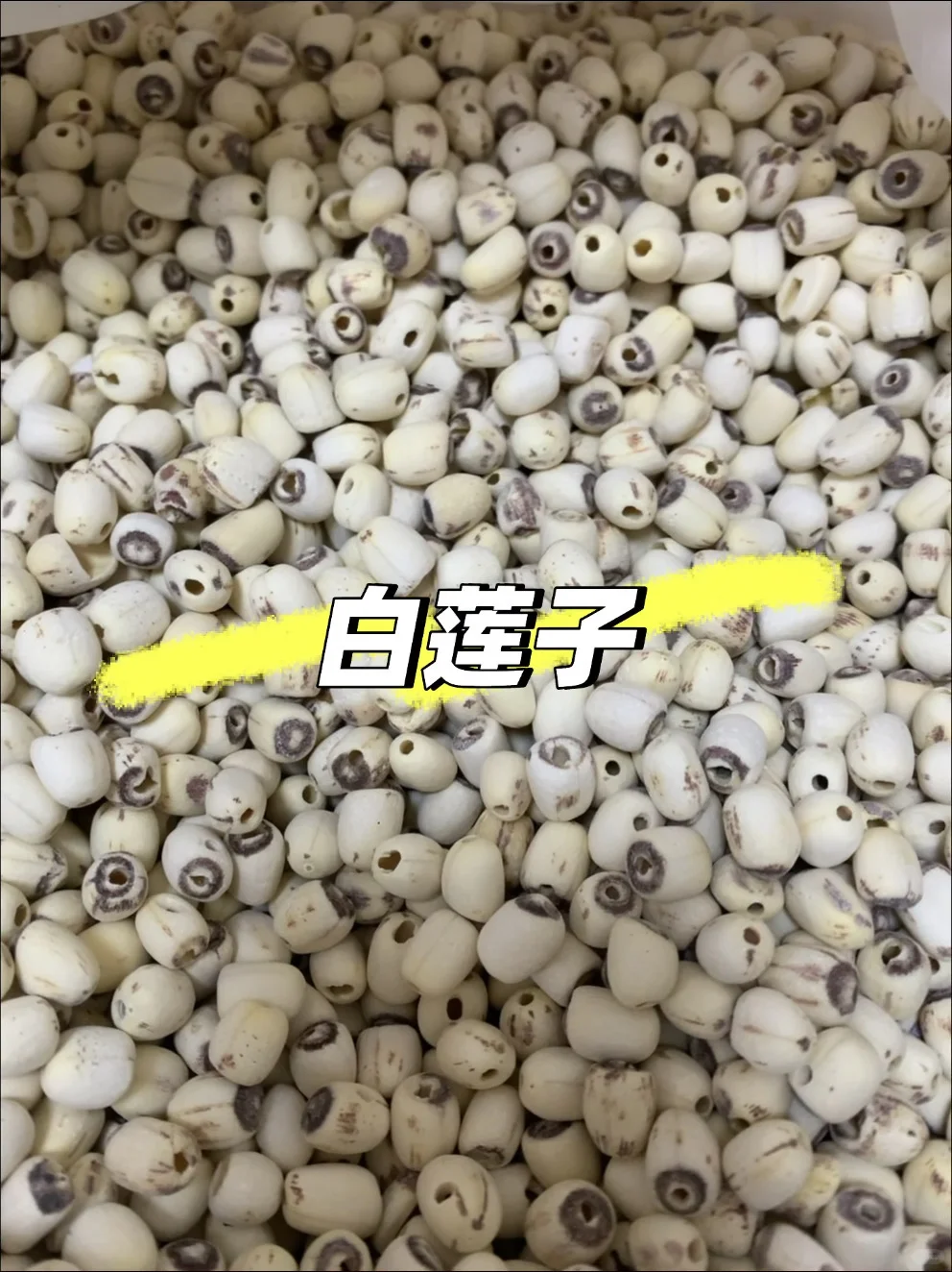 低温烘焙熟五谷杂粮！药食同源批发！批发！