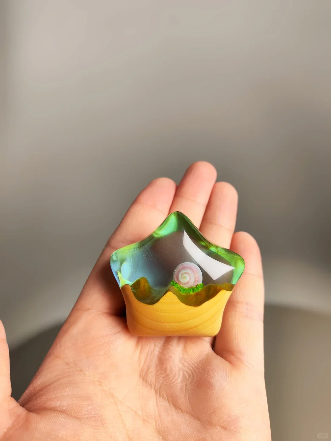 海洋之星制作过程来了