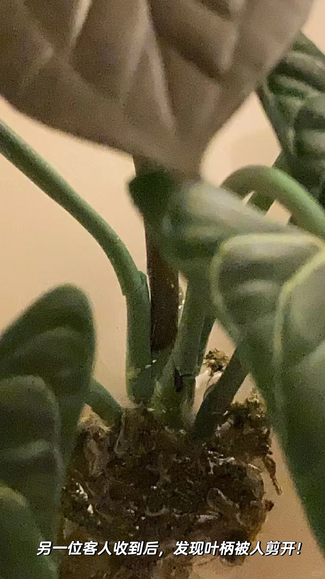 我想停止接单了