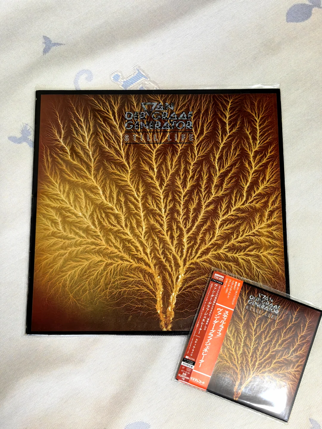 你见过哪些漂亮的专辑封面？— Still Life