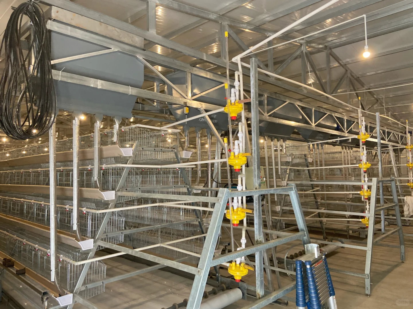 各种鸡笼 配件 全自动化养殖设备