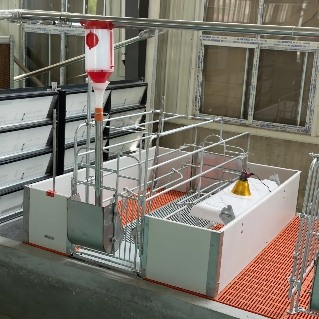 养殖设备一站式采购：非常OK的产床来啦