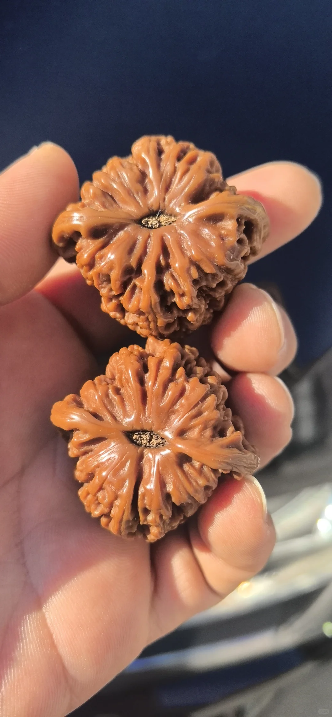 古树南将石三角桩
