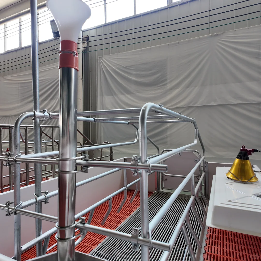 养殖设备一站式采购：非常OK的产床来啦