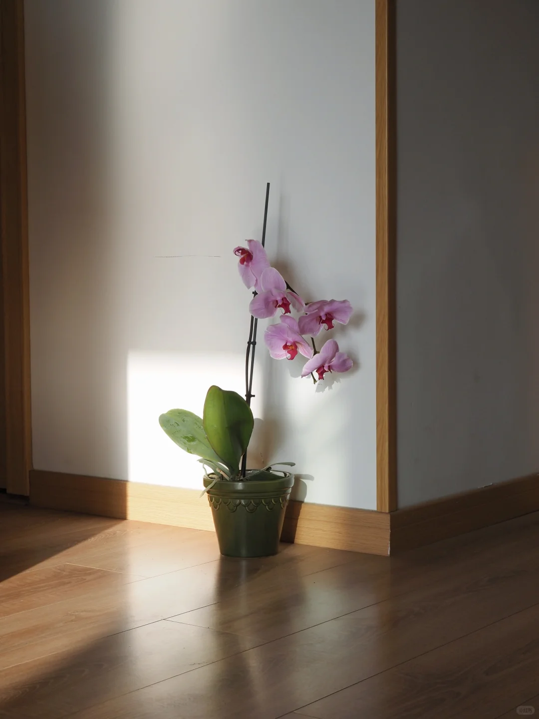 在过一种很我的生活