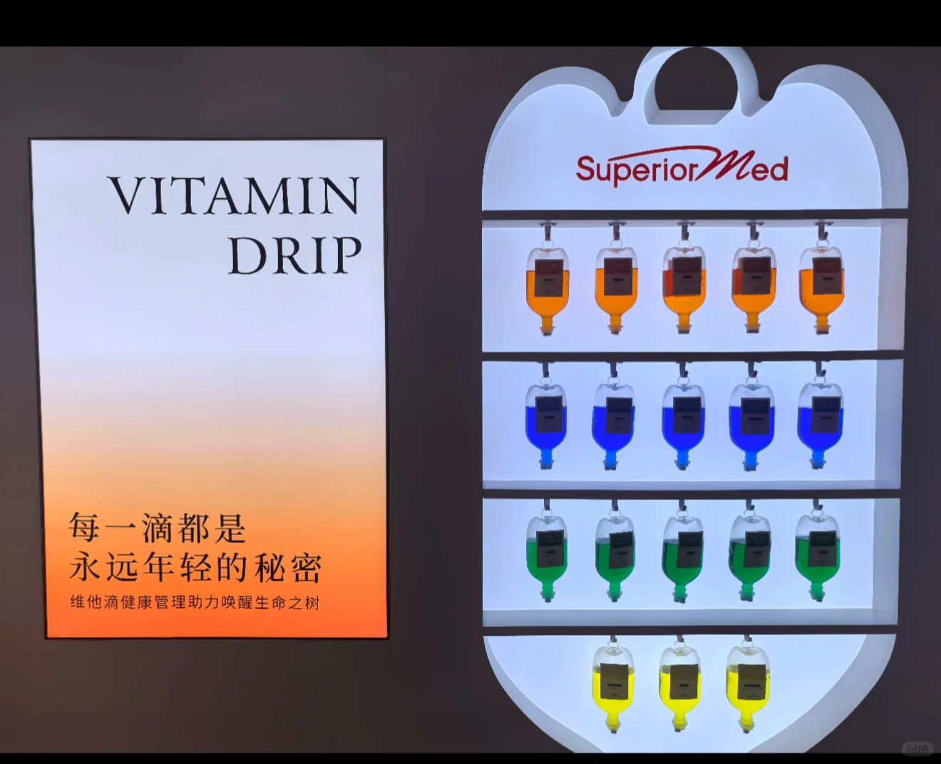 诚招同频合伙人✨?/变美/健康一个不能少