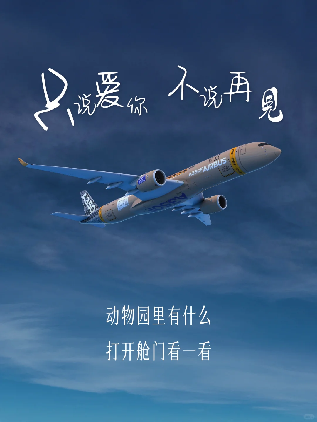 A350F 只说爱你 不说再见