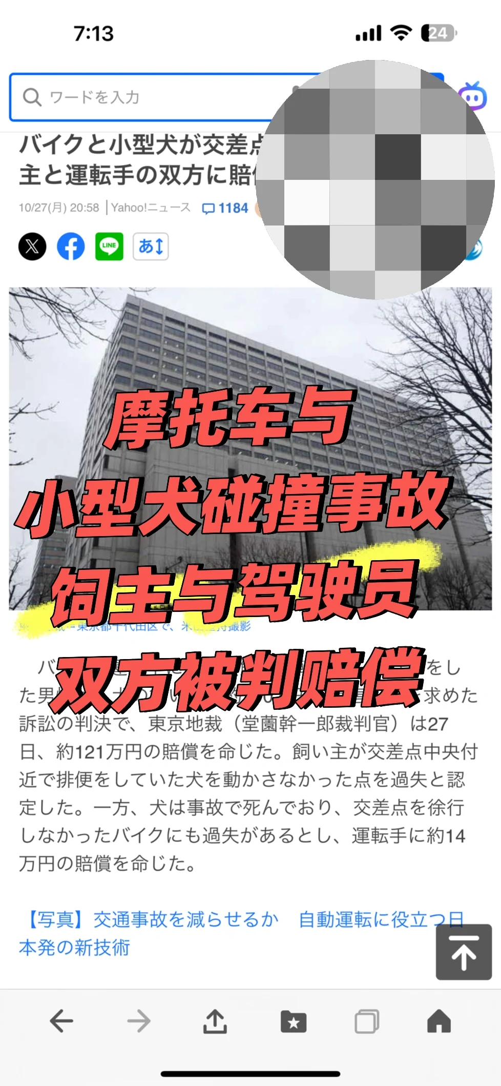 摩托车与小型犬在路口发生碰撞事故，饲主与