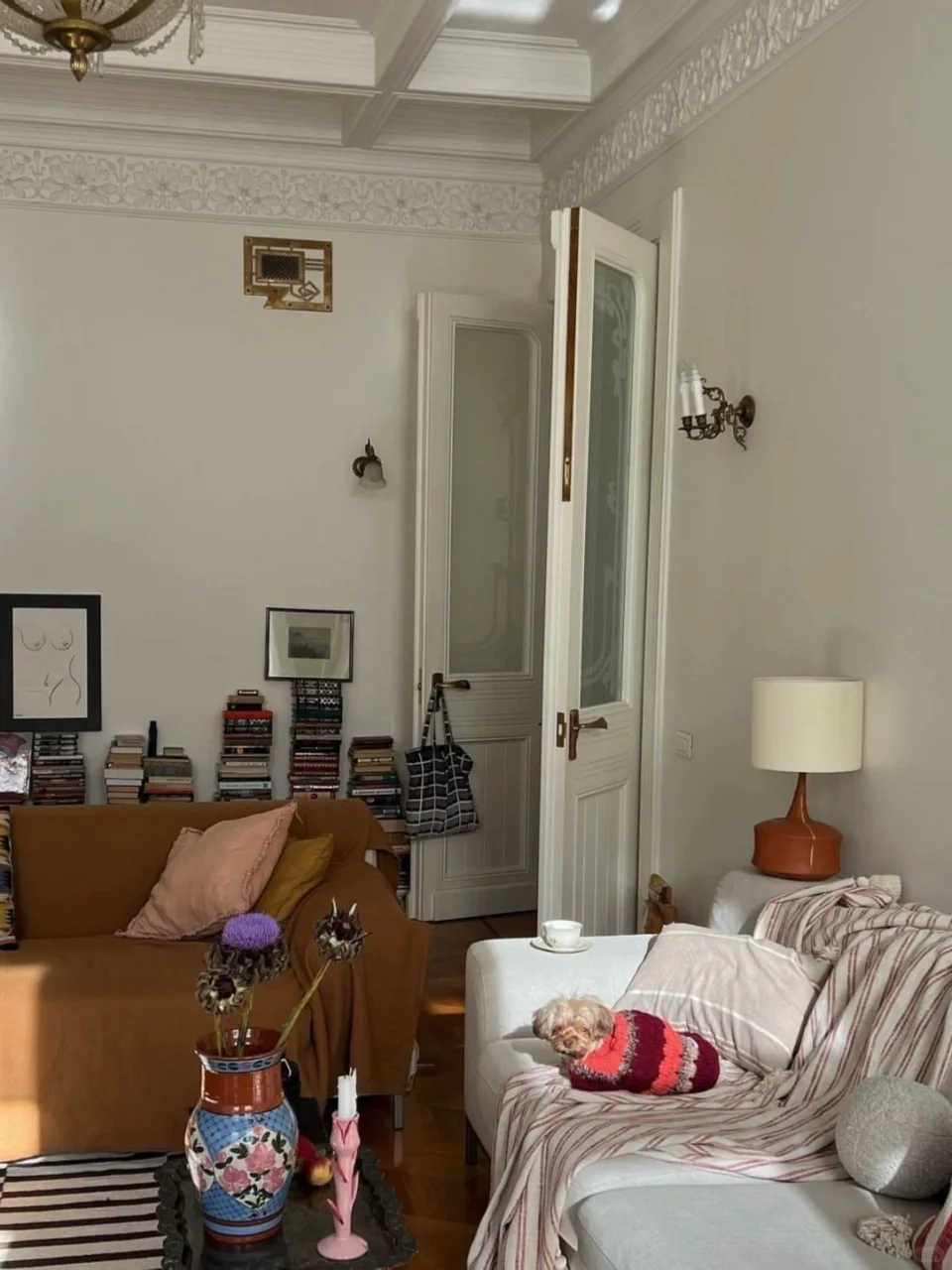 做自己生活的主理人|i人的独居日常.