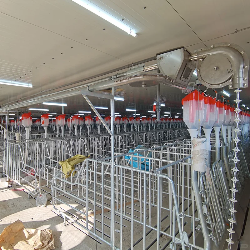 猪舍用饲料传送料线