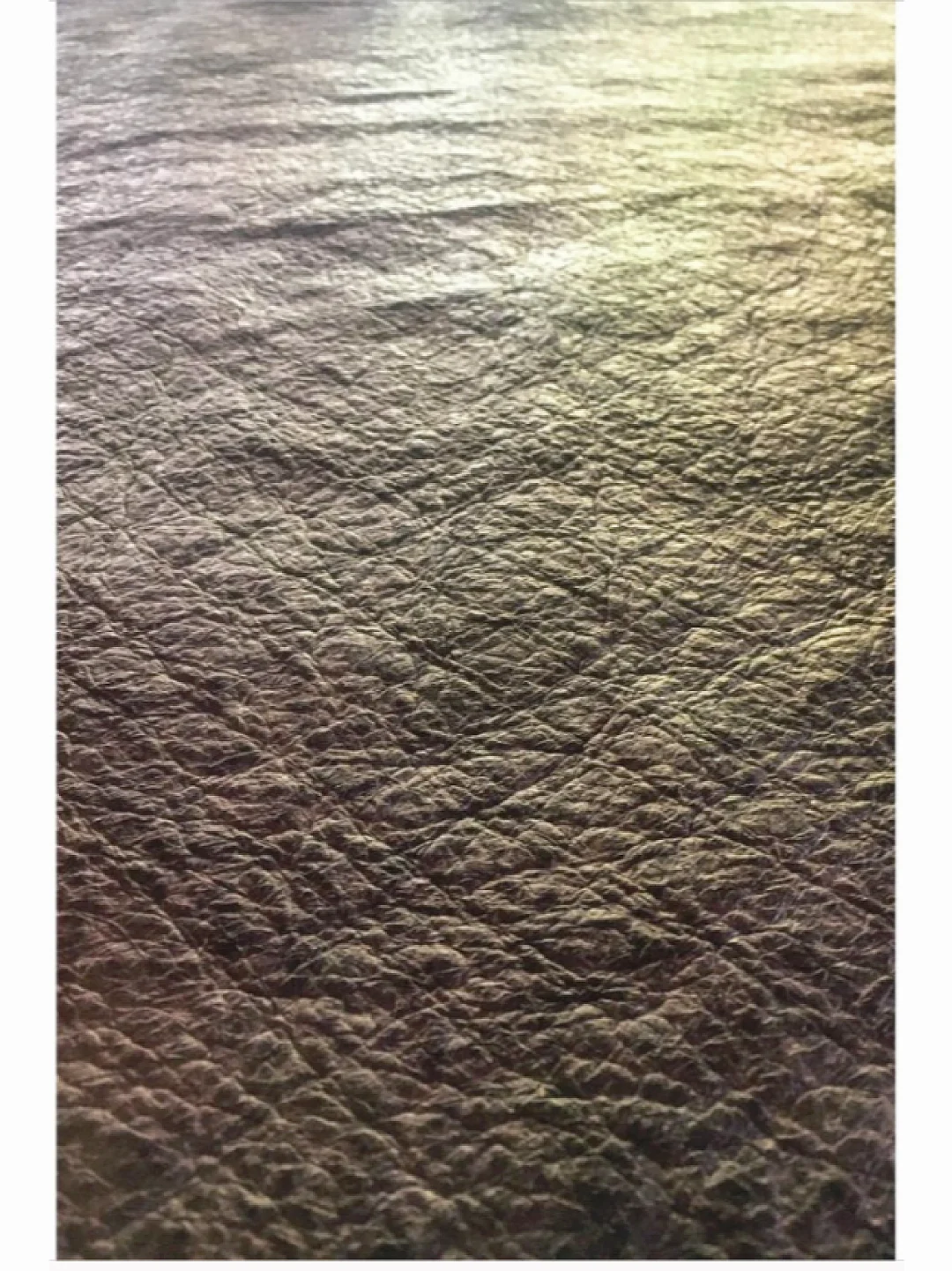 ?生物细菌皮革-椰子、香蕉、大麻、剑麻