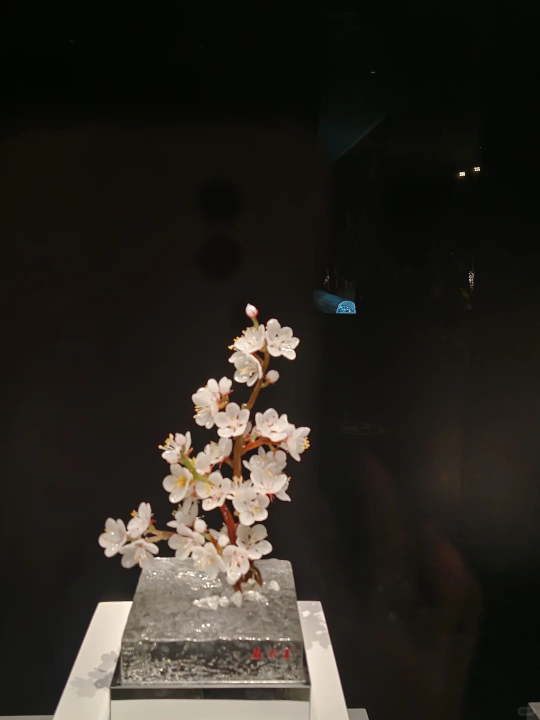 已逛，淄博陶瓷博物馆真的太惊喜了！！