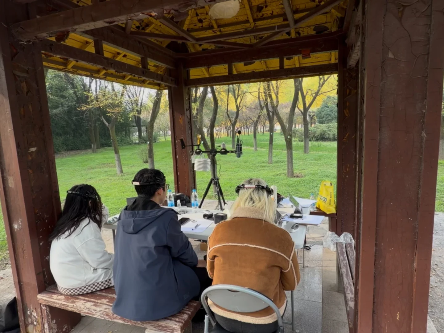 ?当我们带上脑电波仪做六级英语题…