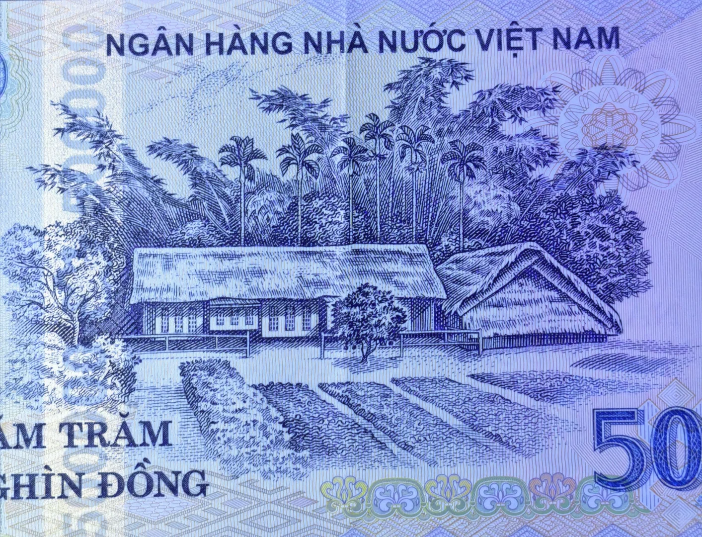 每日一钞：越南500000盾塑料钞