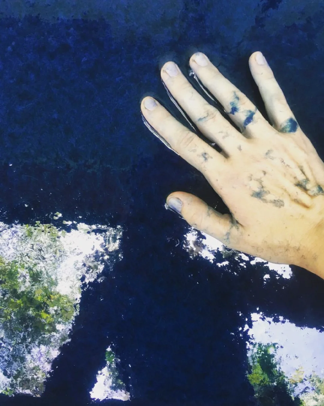 ?生物细菌皮革-椰子、香蕉、大麻、剑麻