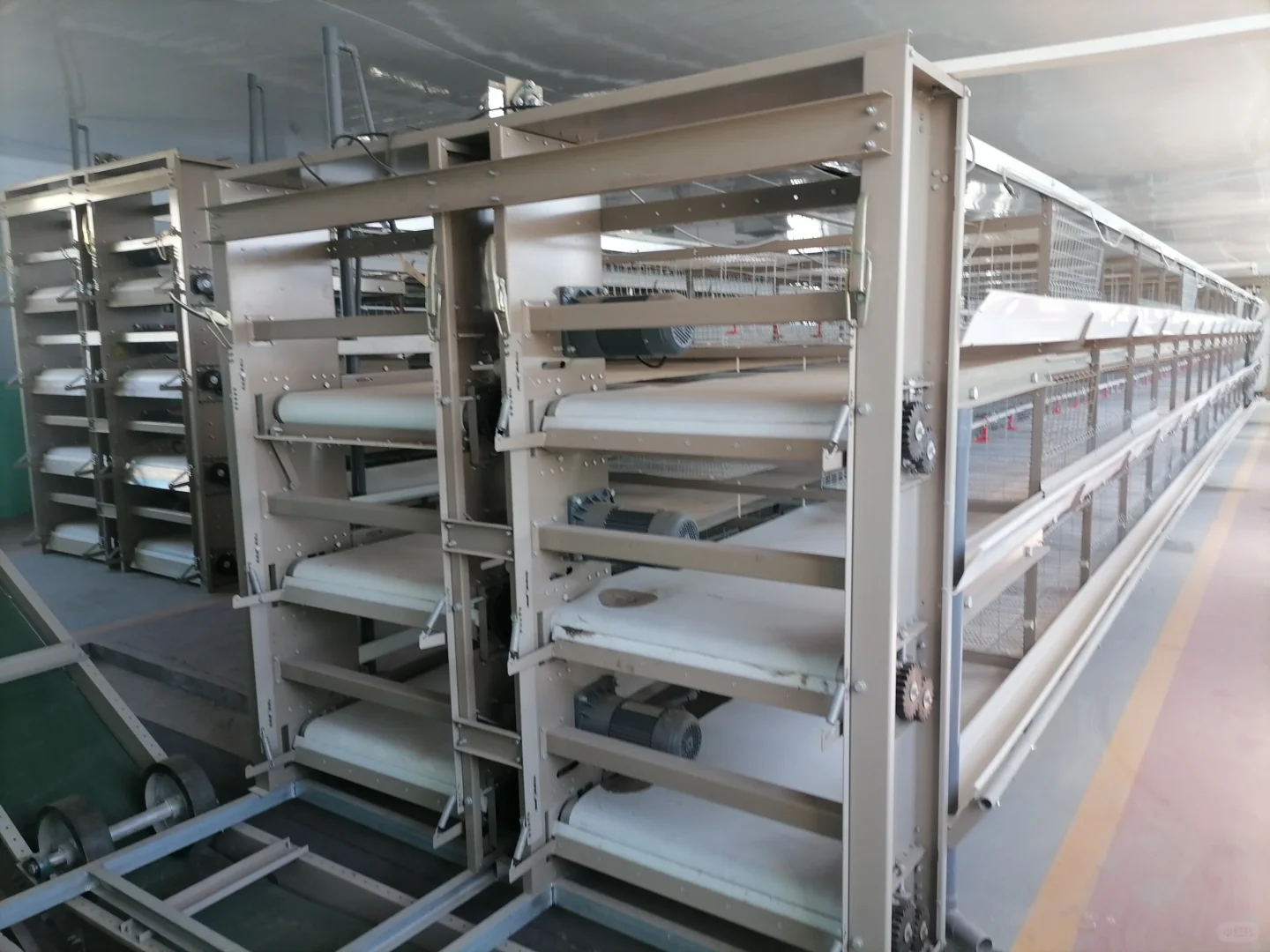 蛋鸡养殖设备的常用介绍