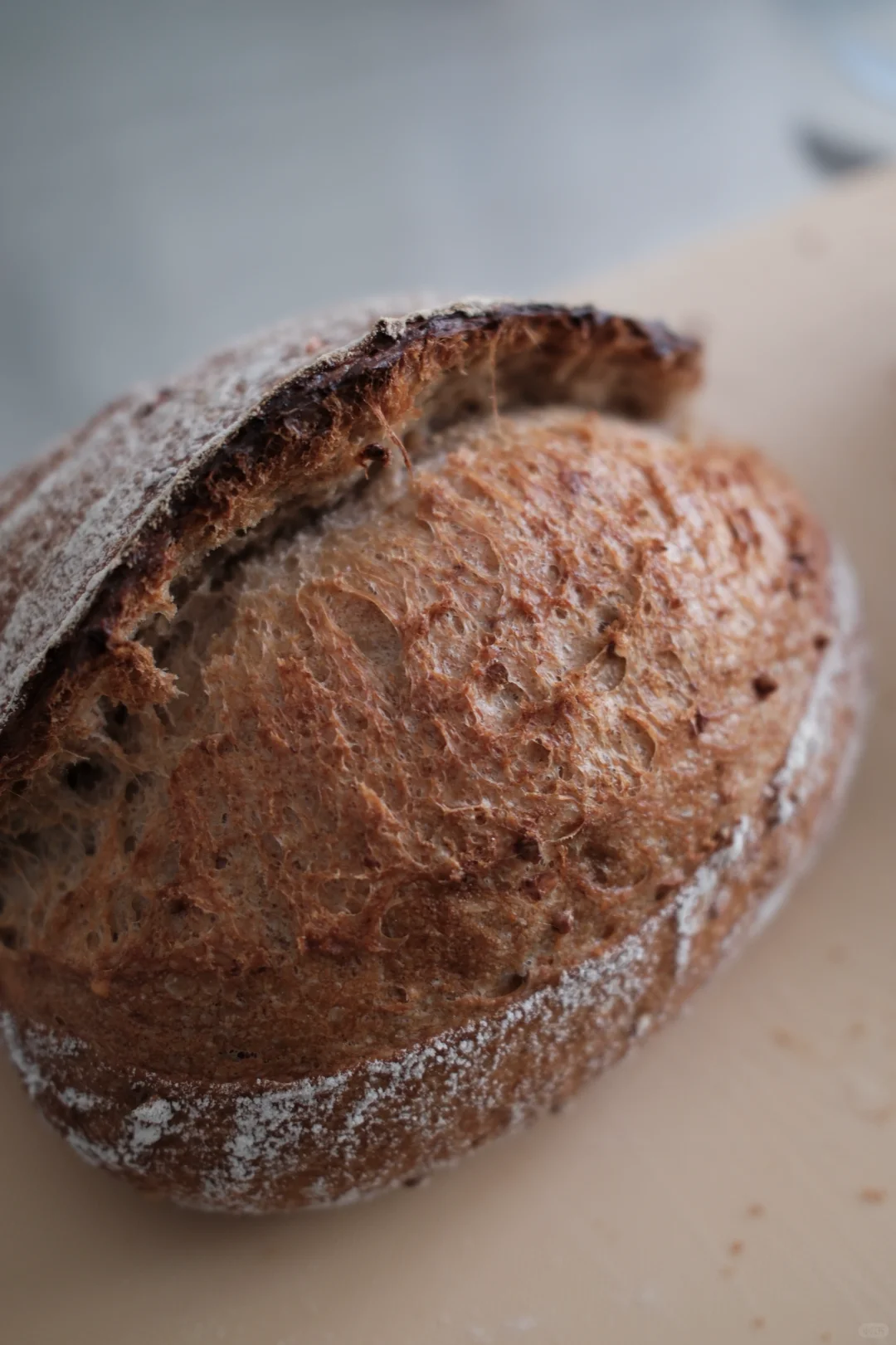 夏日减脂优质主食:荞麦粒燕麦谷物乡村