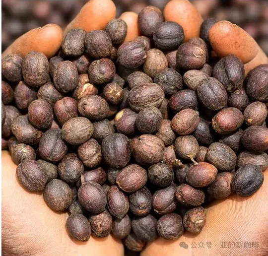 耶加雪菲 科克.夏栏处理站与超级日晒