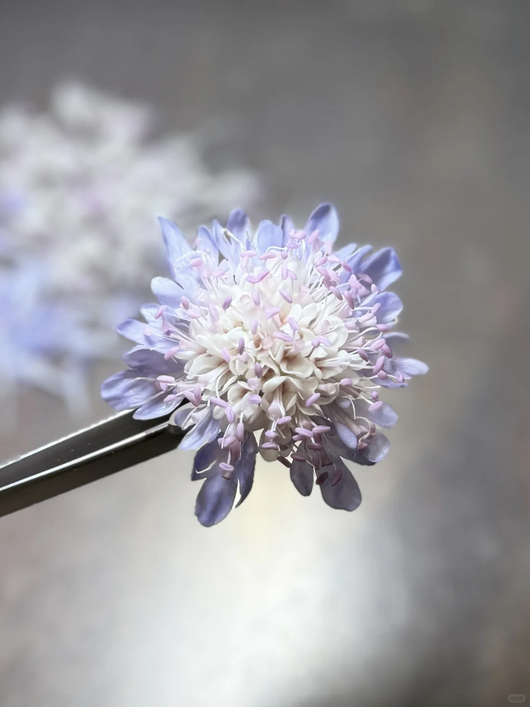 来点有趣的尝试