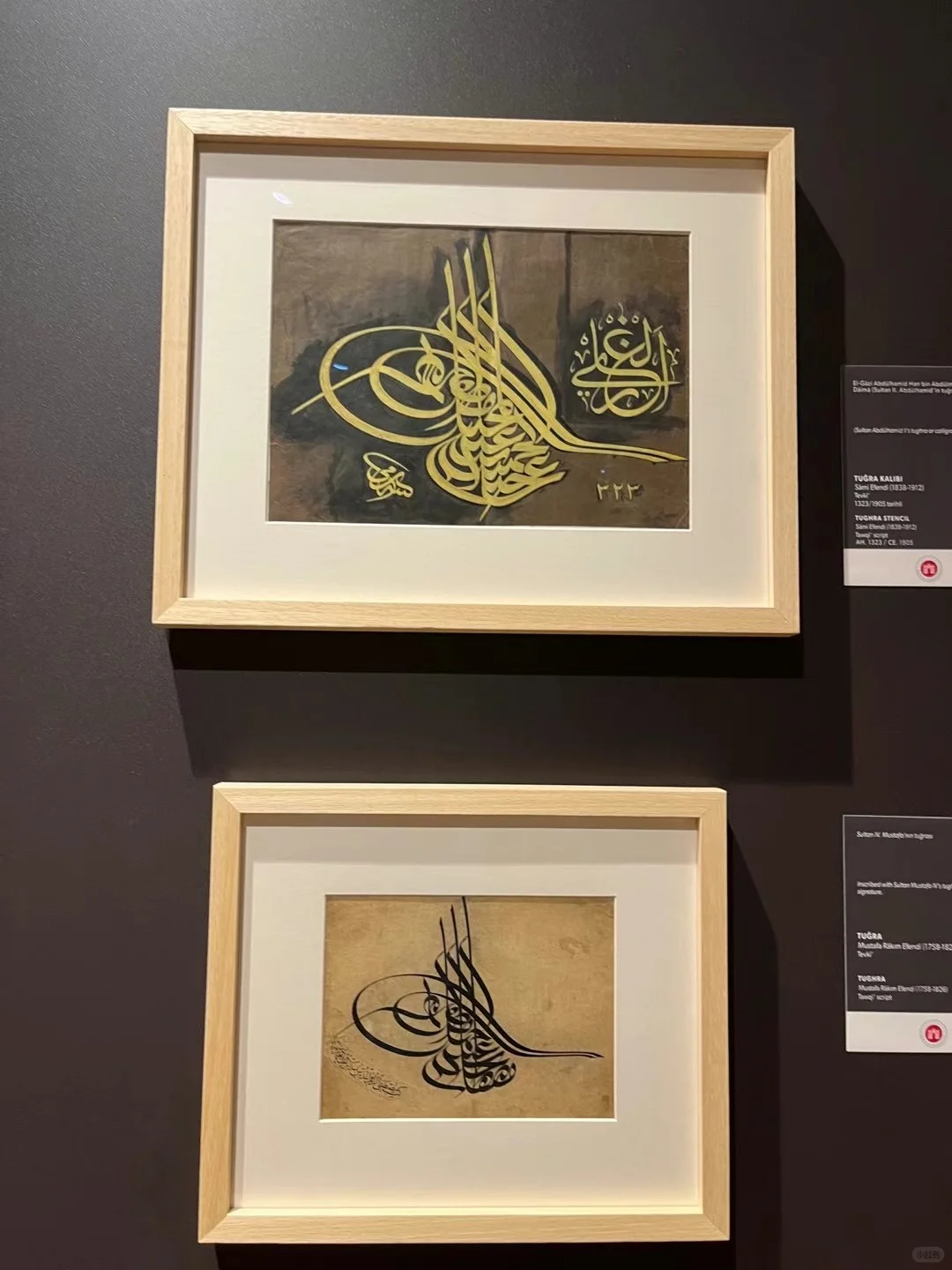 航司货机包机服务