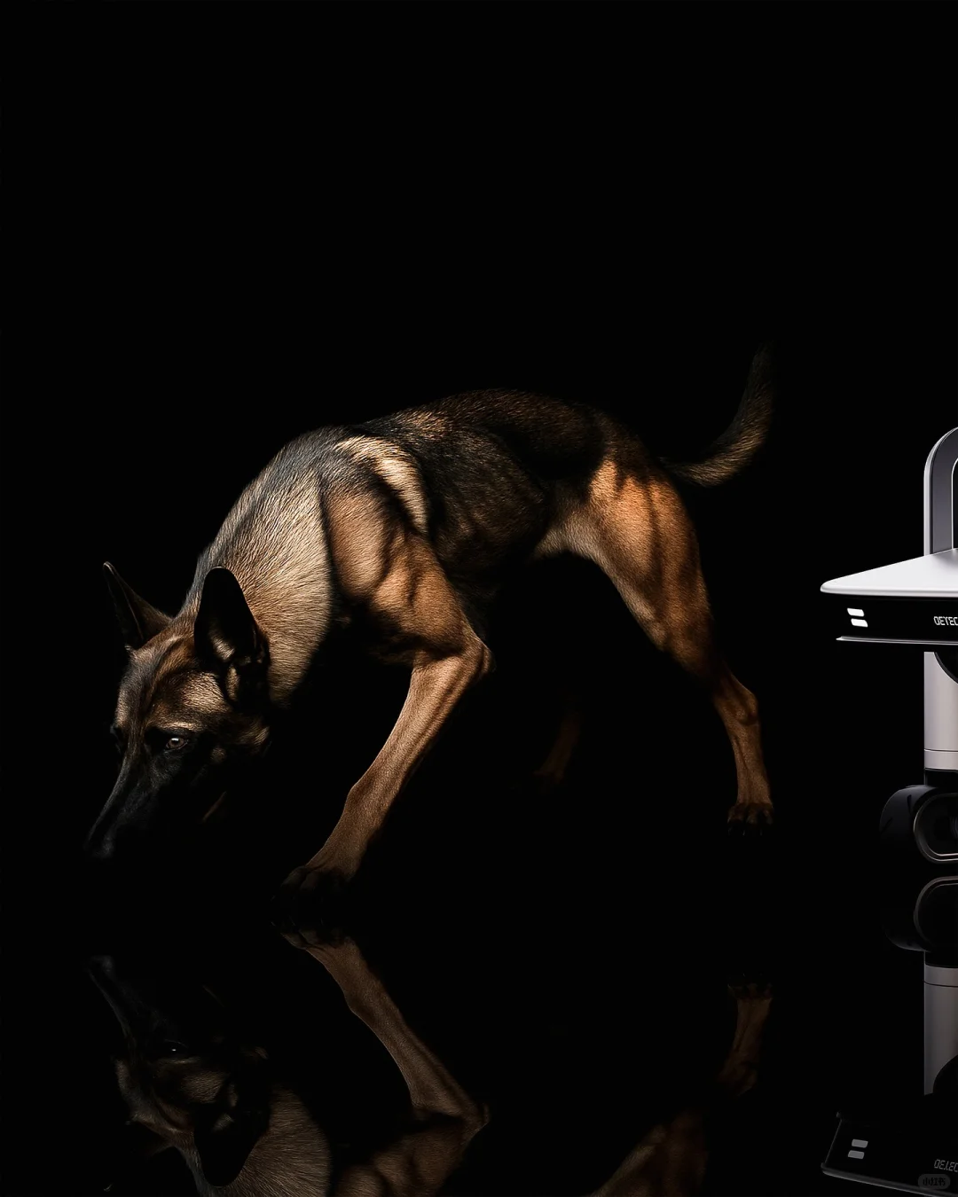 探测犬机器人‌｜No.12