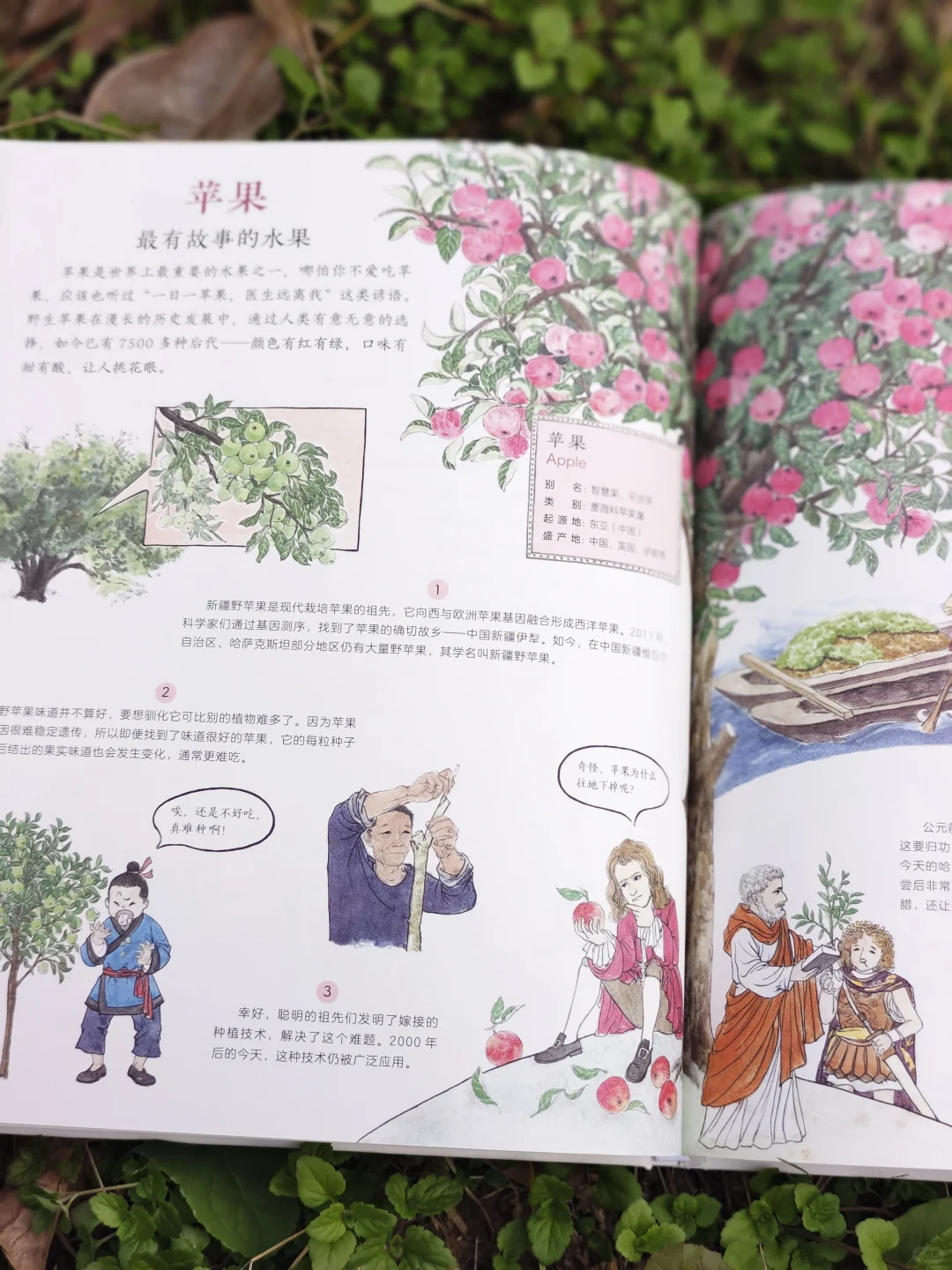 儿童农业科普绘本|纯手绘农作物科普