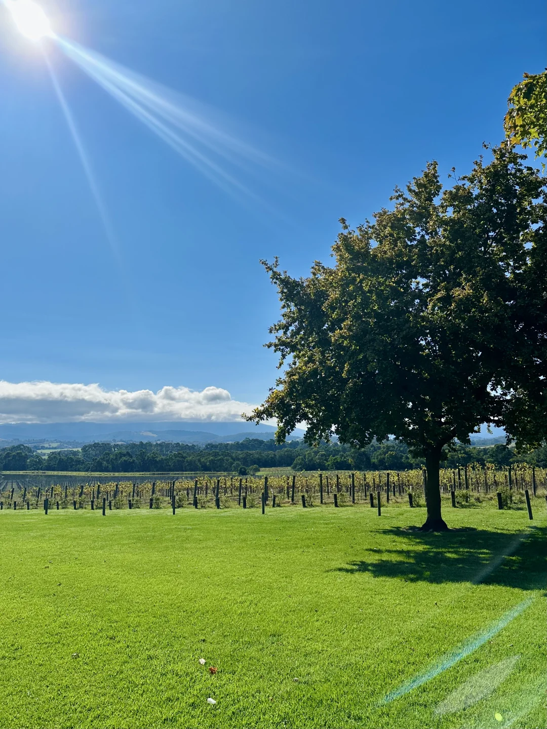 2026年澳大利亚国际汽车零配件及汽保展览会