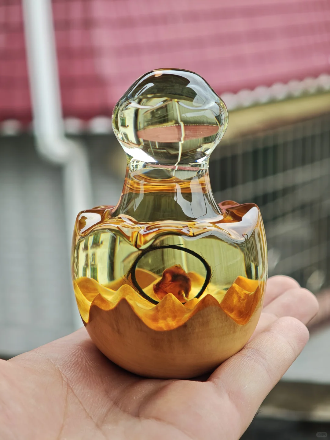 蛇年宝宝的纪念品