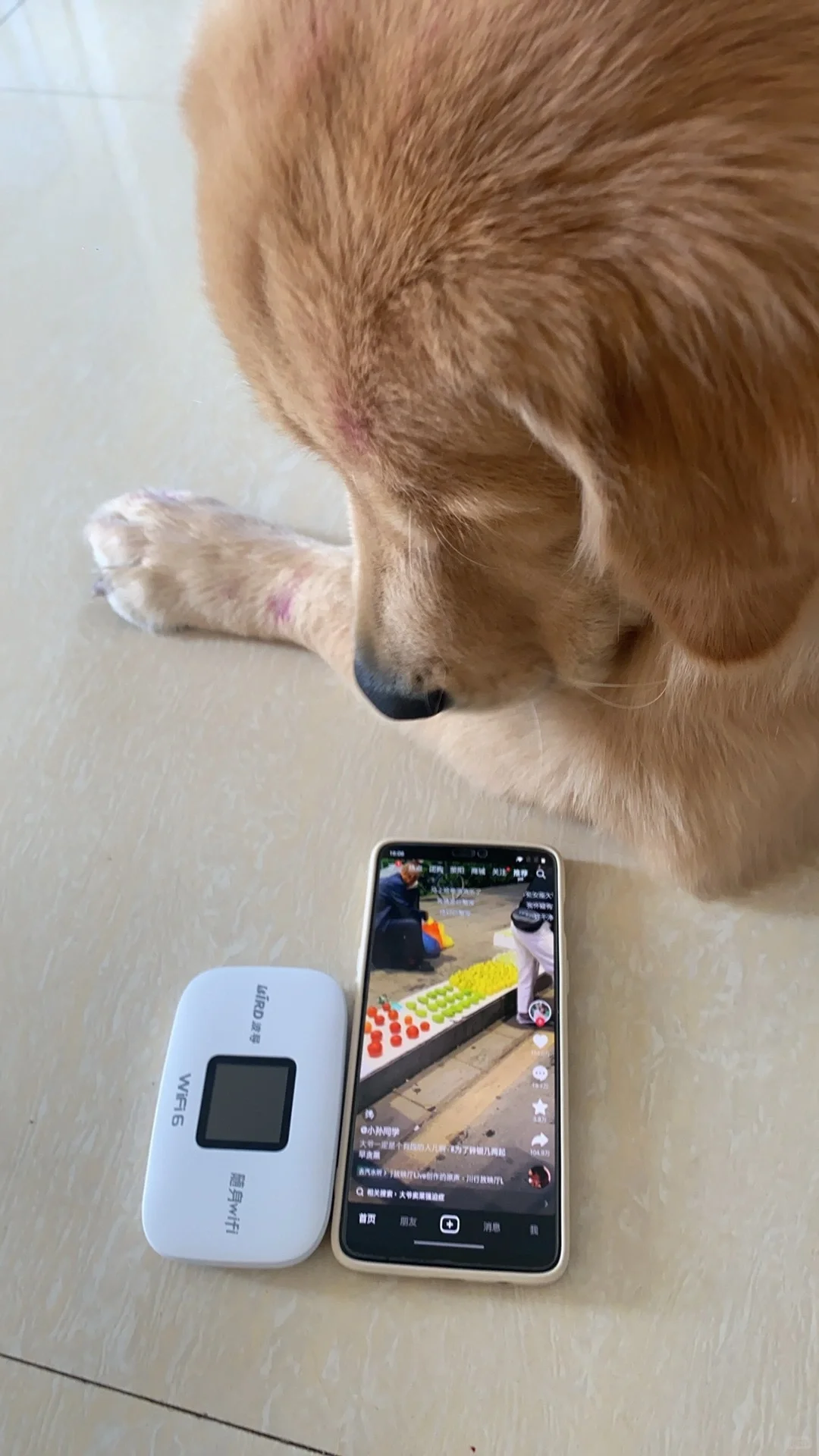 这么小的随身WiFi，怎么做到信号如此之强？?