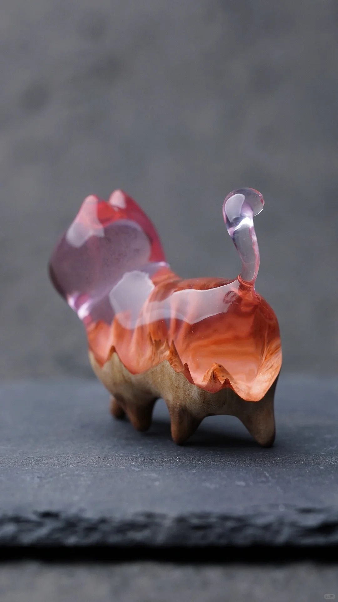 这只小猫咪适合封存什么呢?