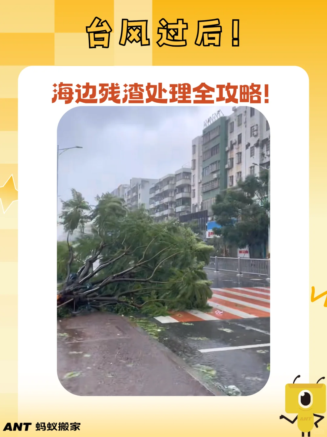 台风过后，海边残渣处理全攻略！