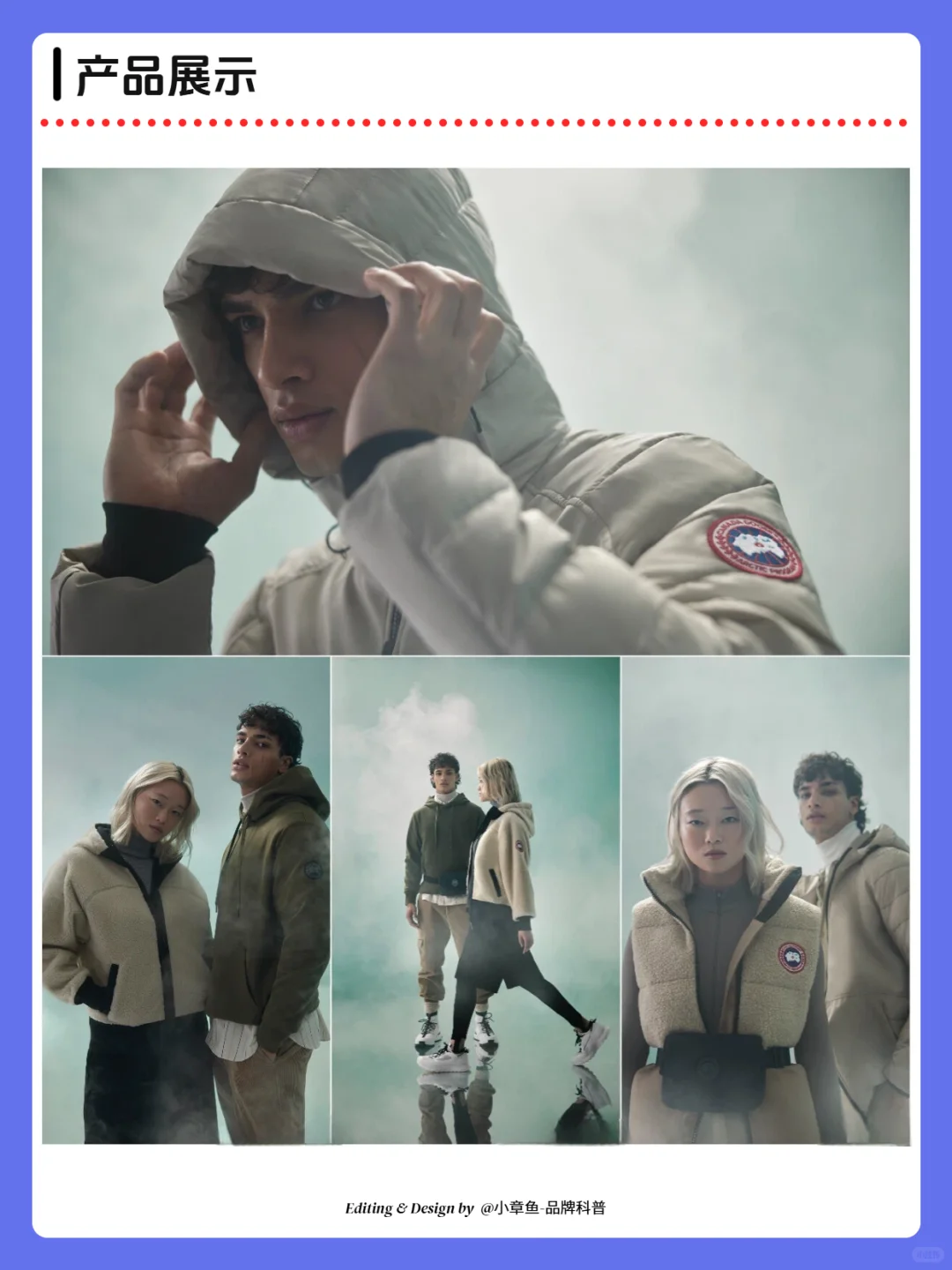 每天认识一个品牌 | 加拿大鹅