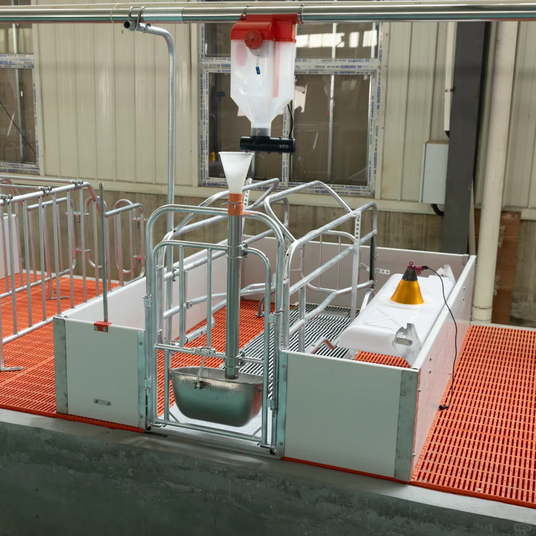 养殖设备一站式采购：非常OK的产床来啦