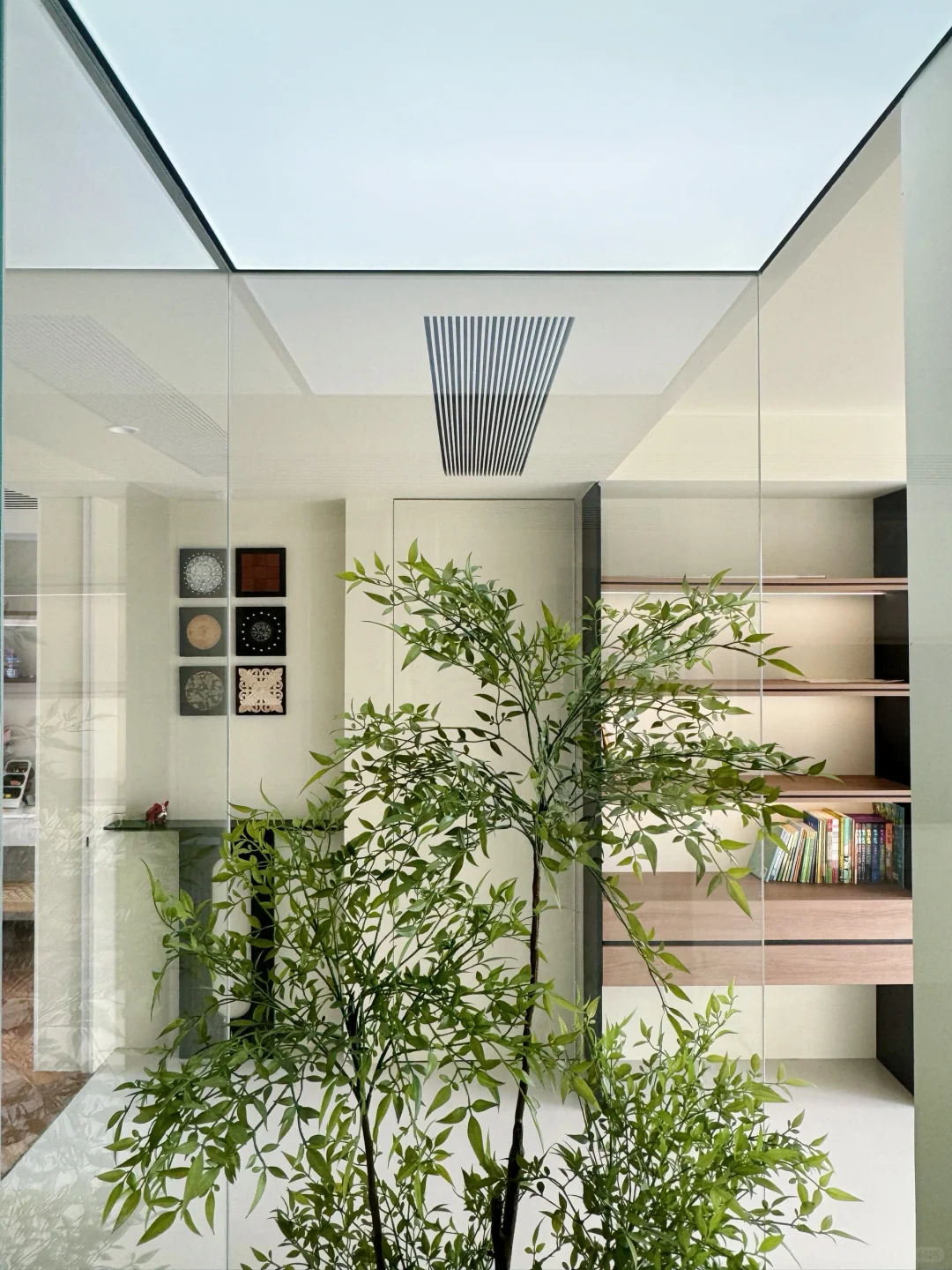 装修分享｜植物造景｜玻璃房内的绿植世界