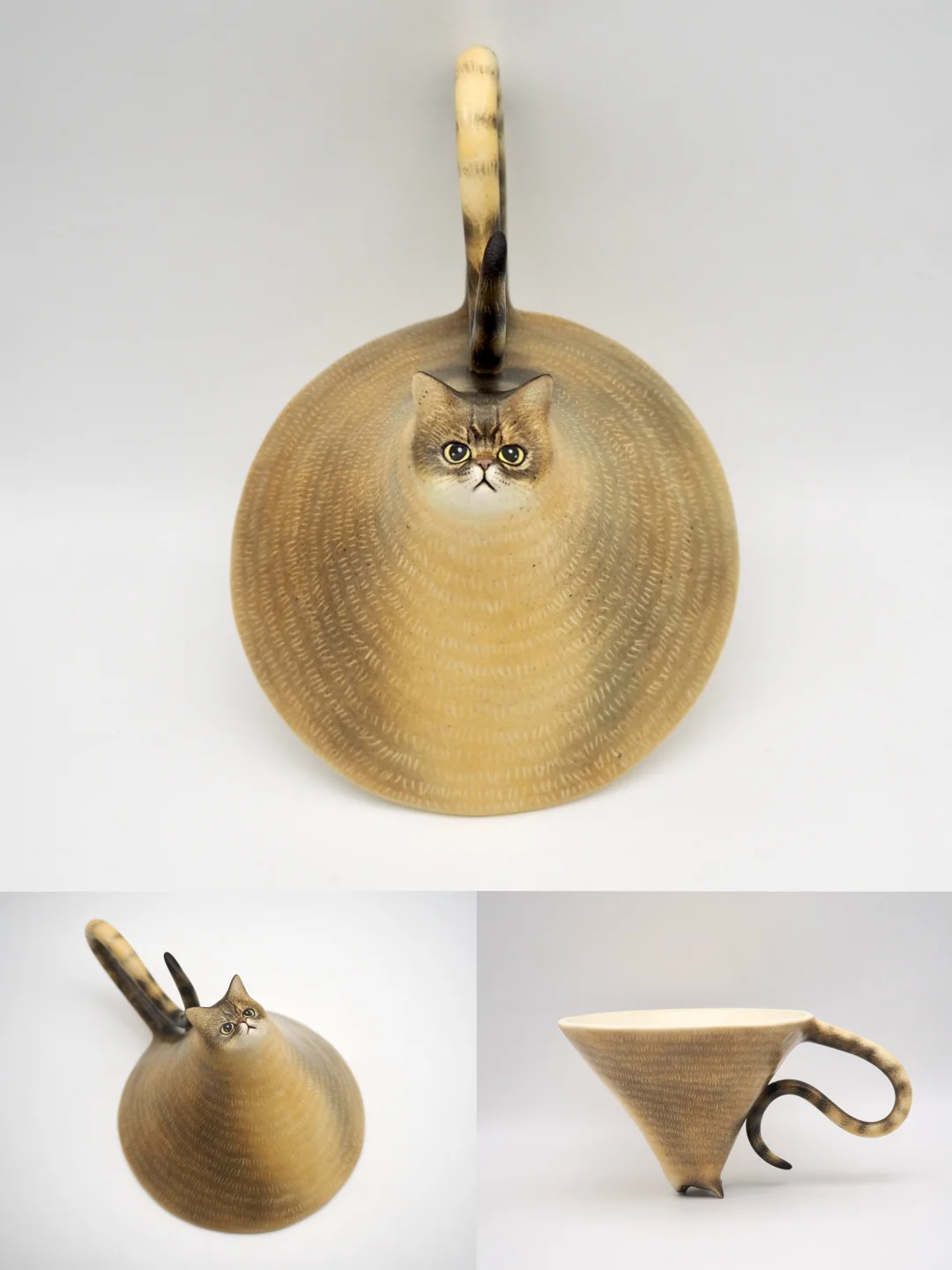 小猫杯喝水会更甜吗ฅ՞•ﻌ•՞ฅ （不是 Ai）