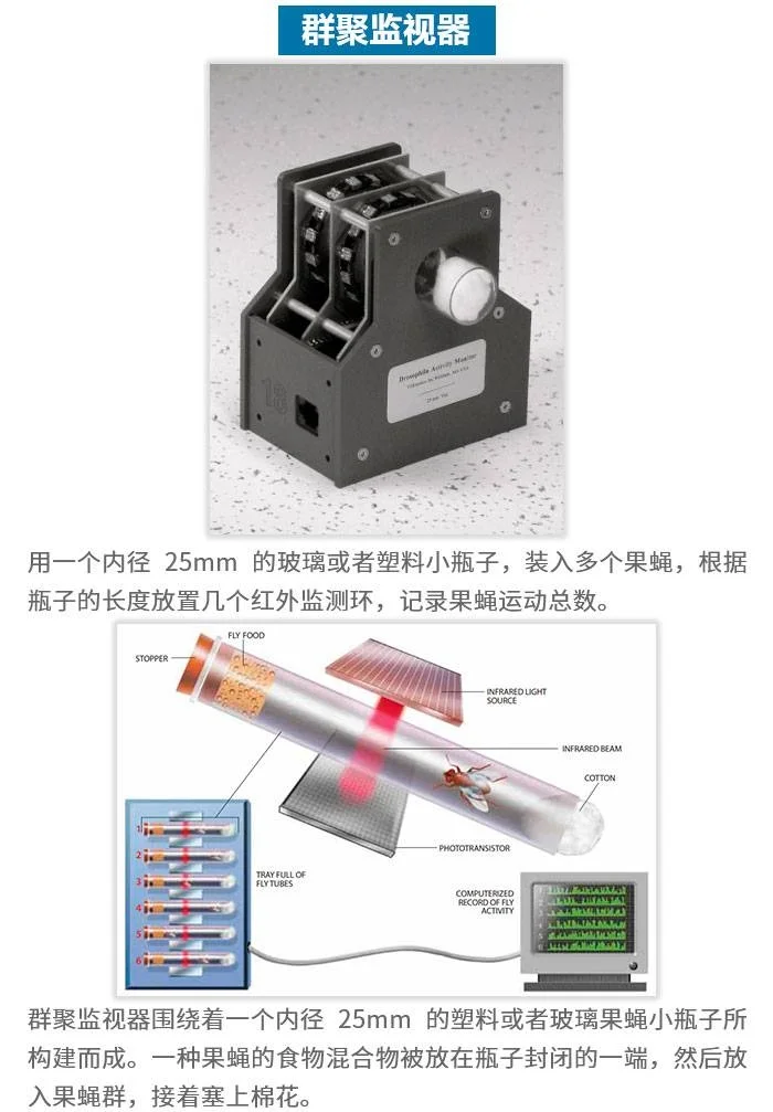 果蝇羽化监测器
