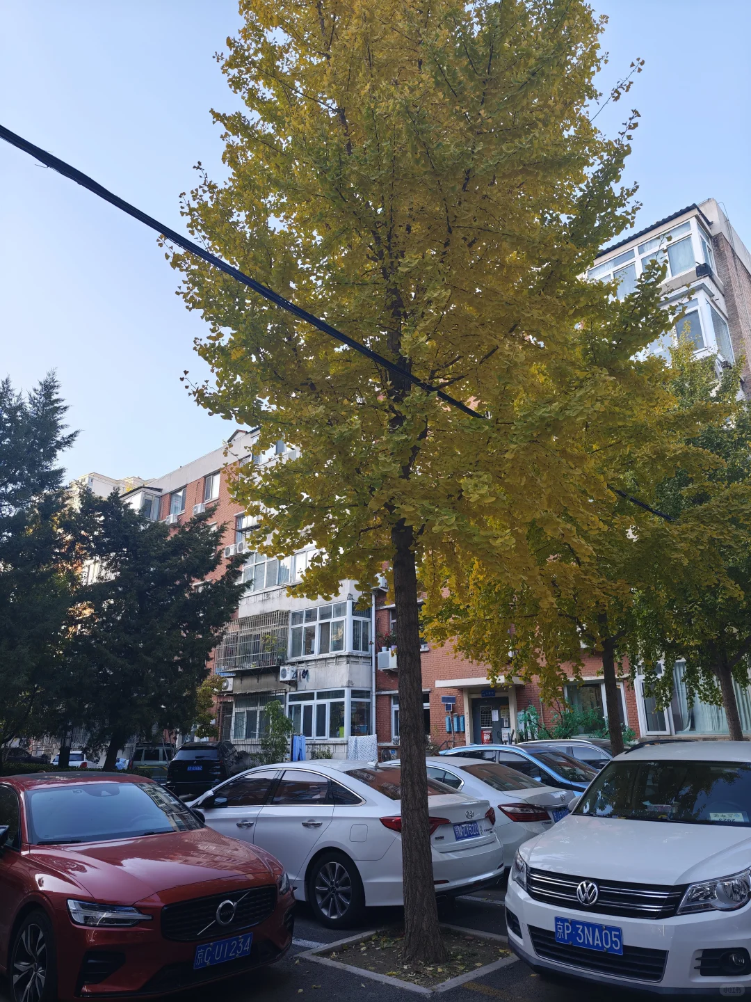 北三环地铁口，央产机关家属院，南北三居室